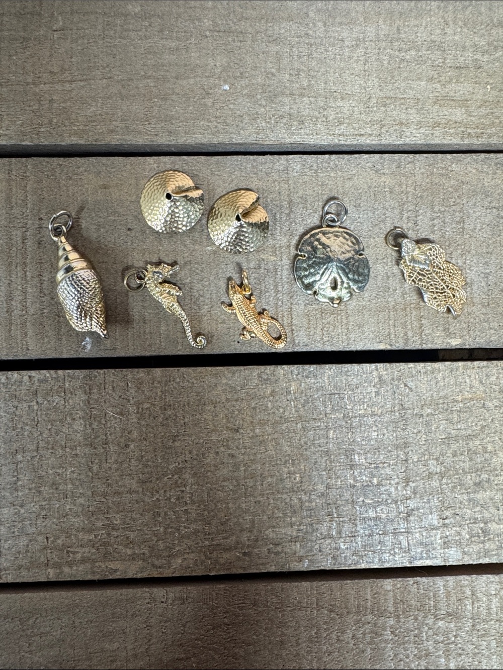 Sea 🌊 Shell 🐚 Charm Set